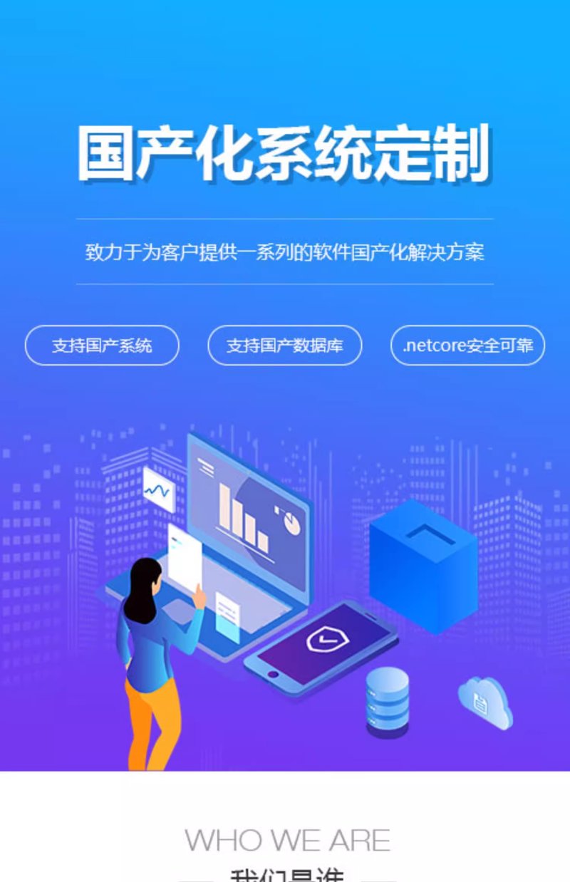 海口软件开发行业动态